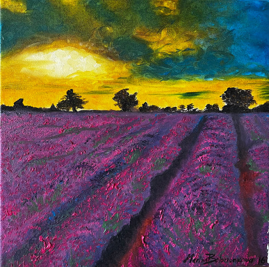 Lavender Awakening