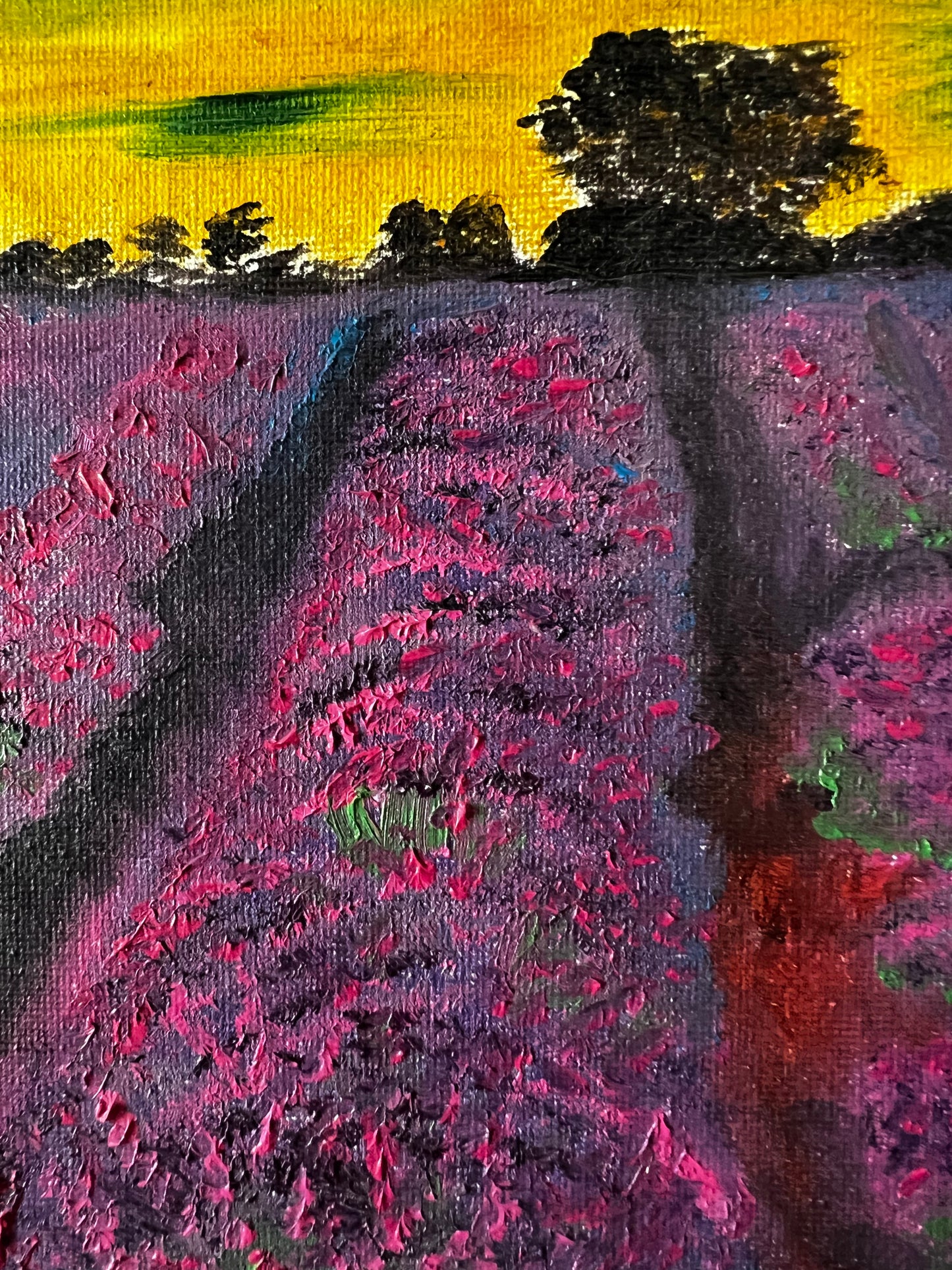Lavender Awakening
